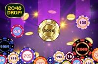 2048 Drop